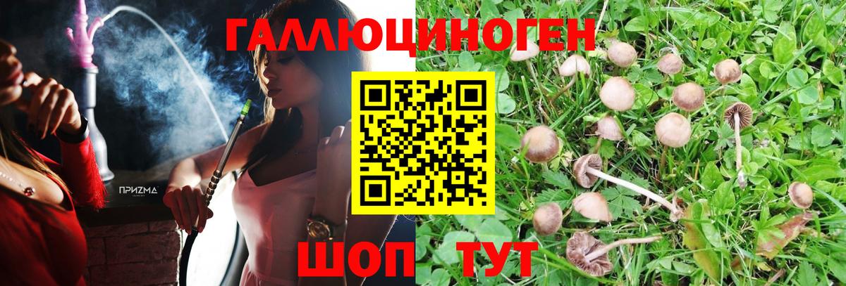 Галлюциногенные грибы Magic Shrooms  Вход с VPN  Ростов Великий  Псилоцибиновые грибы ЛСД 