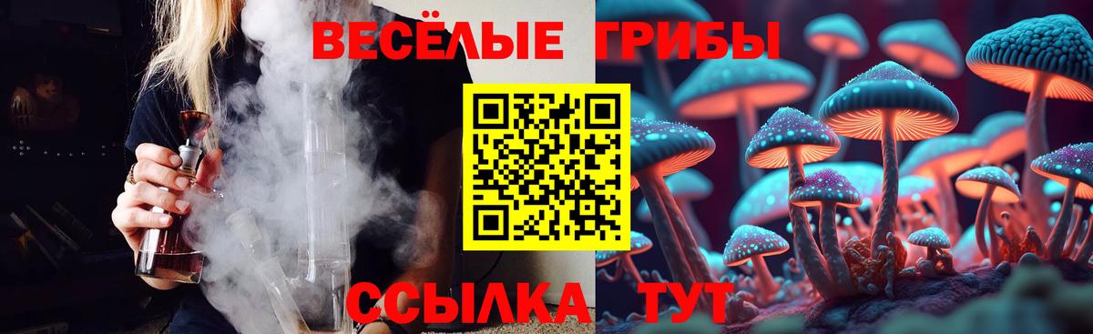 Псилоцибиновые грибы мицелий Ростов Великий